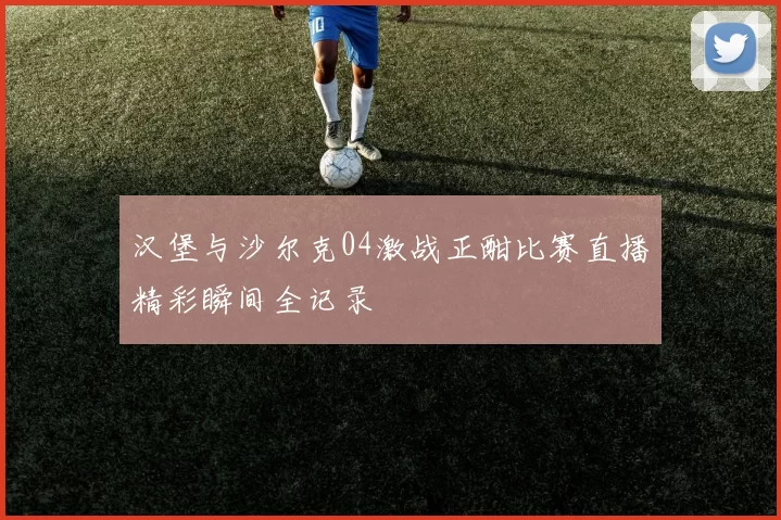 汉堡与沙尔克04激战正酣比赛直播精彩瞬间全记录