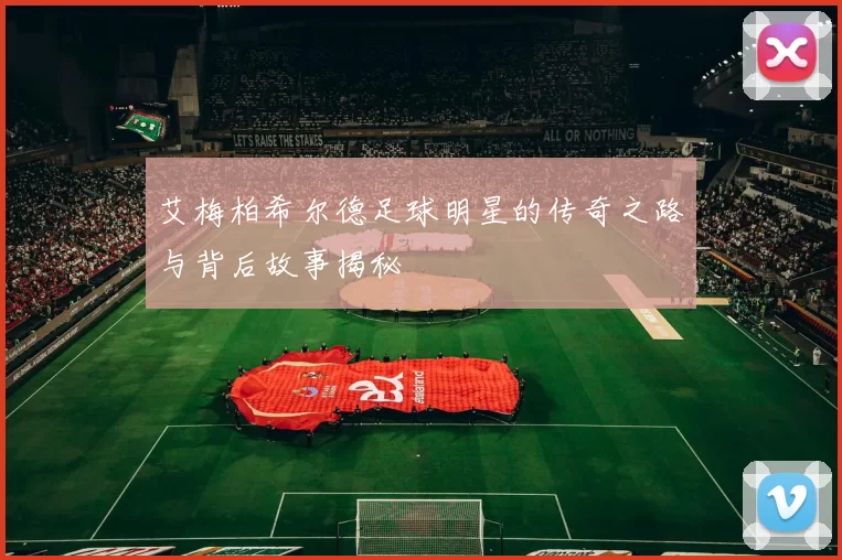 艾梅柏希尔德足球明星的传奇之路与背后故事揭秘