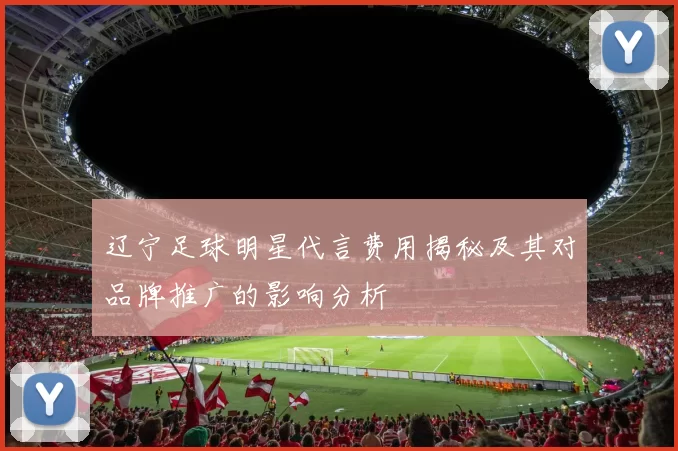 辽宁足球明星代言费用揭秘及其对品牌推广的影响分析