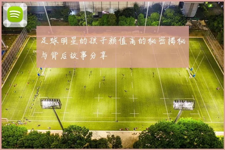 足球明星的孩子颜值高的秘密揭秘与背后故事分享