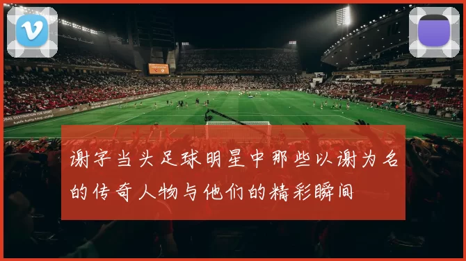 谢字当头足球明星中那些以谢为名的传奇人物与他们的精彩瞬间