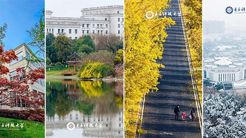 在选购电子配件时，以下建议可供参考：